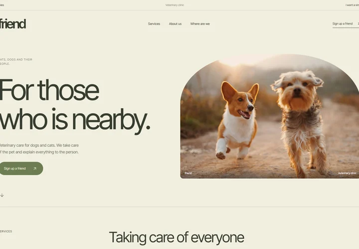First screen of the site friend