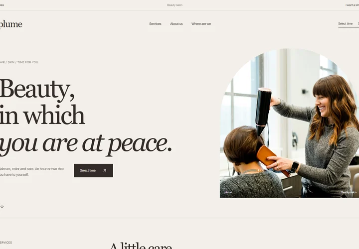 First screen of the site plume