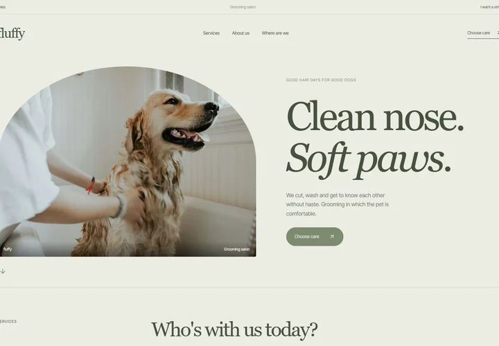 First screen of the site fluffy