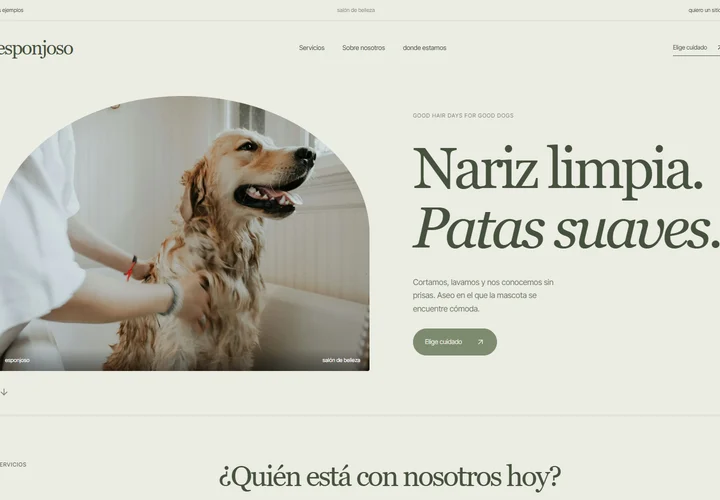 Primera pantalla del sitio. esponjoso